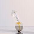 l'Eau d'Or Dort Fascent