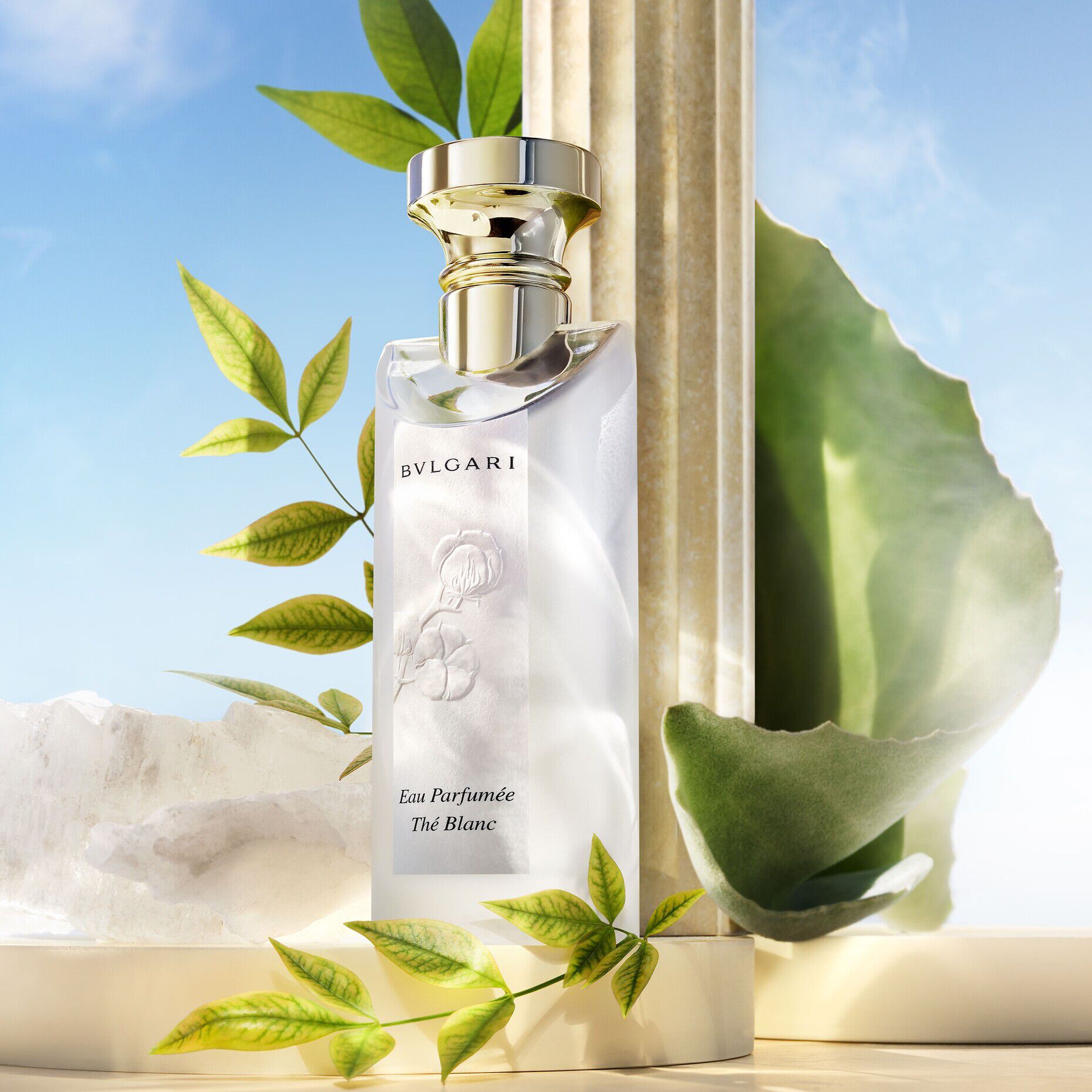 Eau Parfumée Thé Blanc, Eau de Toilette - Bvlgari | MyOrigines Produit