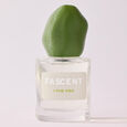 I Fig You Fascent