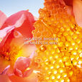 La Petite Robe Noire Honey Rose Guerlain