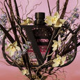 Born In Roma Uomo Eau de Parfum Intense