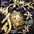 Libre Yves St Laurent