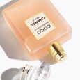 COCO MADEMOISELLE l'Eau Priv&eacute;e &ndash; Eau pour la Nuit