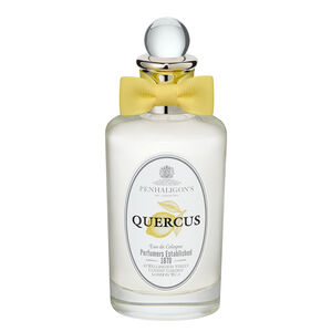 Quercus