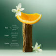Ultimate Reset Shu Uemura