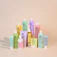 Shampooing Purifiant Avril