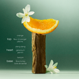 Ultimate Reset Shu Uemura