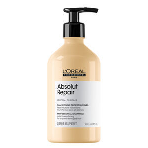 Absolut Repair