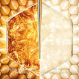 Abeille Royale Advanced Double R Renew Serum & Repair