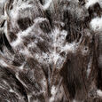 Signature Oribe