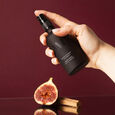 Figuier Santal What Matters