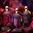 Absolus Allegoria Tabac Sahara Guerlain