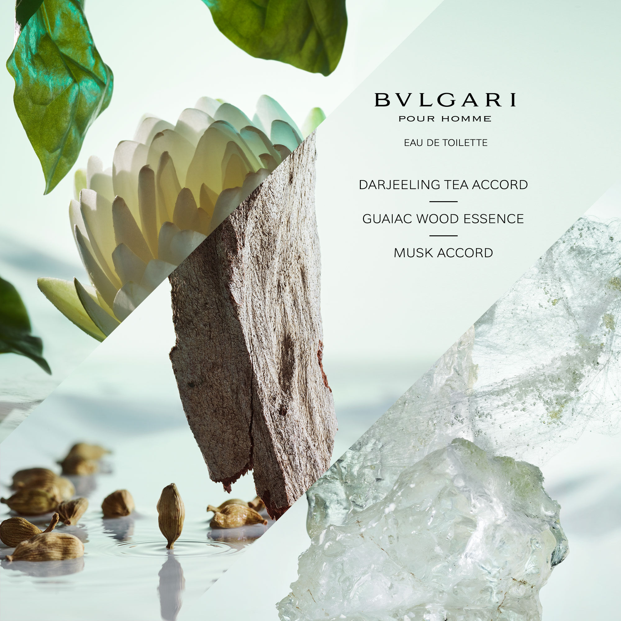Bvlgari Pour Homme, Eau de Toilette - Bvlgari | MyOrigines Produit