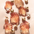 V&eacute;nus de Nina Ricci Nina Ricci
