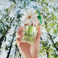 Daisy Wild Marc Jacobs