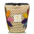Tournesol Girasol Baobab Collection