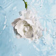 HYDRA BEAUTY Chanel