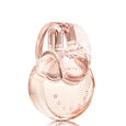 Omnia Crystalline Bvlgari