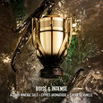 Invictus Elixir Rabanne