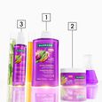 Gloss Hydratant Shine-Restoring Shampoo & for Brown Hair