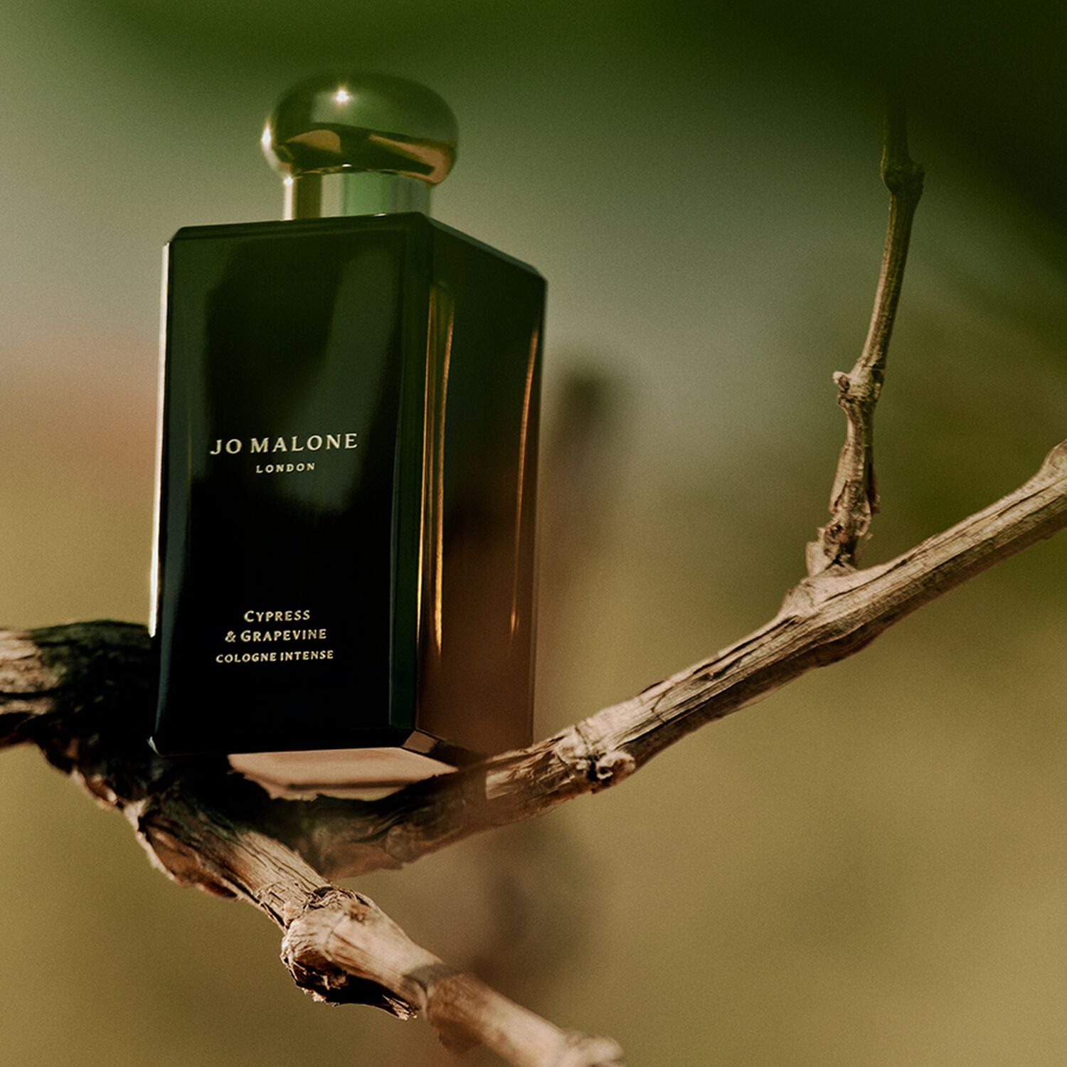 Cypress & Grapevine, Cologne Intense - Jo Malone London 