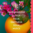 Fleur de Figuier Roger&Gallet
