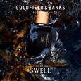 Pacific Rock Swell Eau de Parfum