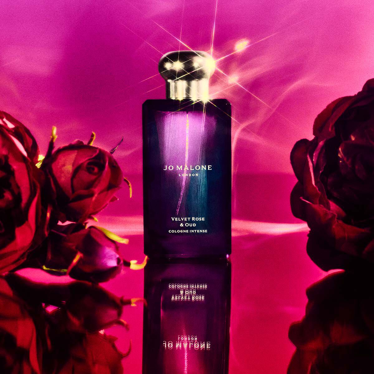 Velvet Rose & Oud, Colonia Intensa - Jo Malone London | MyOrigines