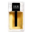 Dior Homme Dior