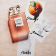 COCO MADEMOISELLE l'Eau Priv&eacute;e &ndash; Eau pour la Nuit