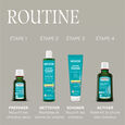 Rosemary Shampooing Revitalisant 250 ml