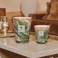 Leaves Marius Baobab Collection