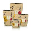 Vony Ahitra Baobab Collection
