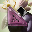 Paradoxe Sweet Chemistry Prada