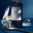 Atelier des Fleurs - Orchid&eacute;e de Minuit Chlo&eacute;