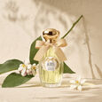 Le Temps des R&ecirc;ves Eau de Parfum