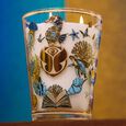 Tomorrowland 2026 Baobab Collection