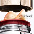 Absolue Longevity MD lanc&ocirc;me