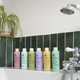 Shampooing Purifiant Avril