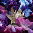 Absolus Allegoria Florabloom Guerlain