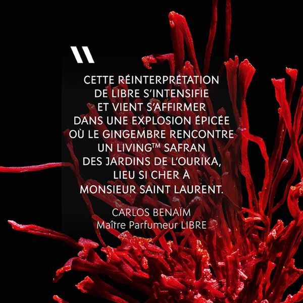 Libre le Parfum Yves St Laurent