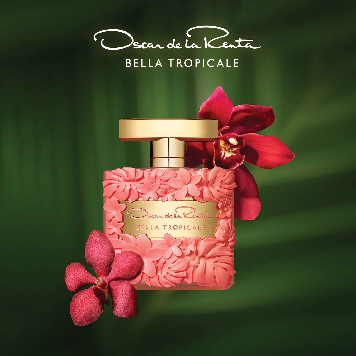 Bella Rosa Bella Night Oscar De La Renta Bella Rosa Oscar De La