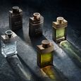 Bvlgari Man Wood Essence Bvlgari