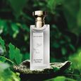 Eau Parfum&eacute;e Th&eacute; Blanc Bvlgari