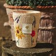 Vony Ahitra Baobab Collection