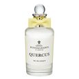 Quercus penhaligon's