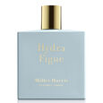 Hydra Figue Miller Harris