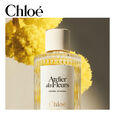 Atelier des Fleurs - Herba Mimosa Chlo&eacute;
