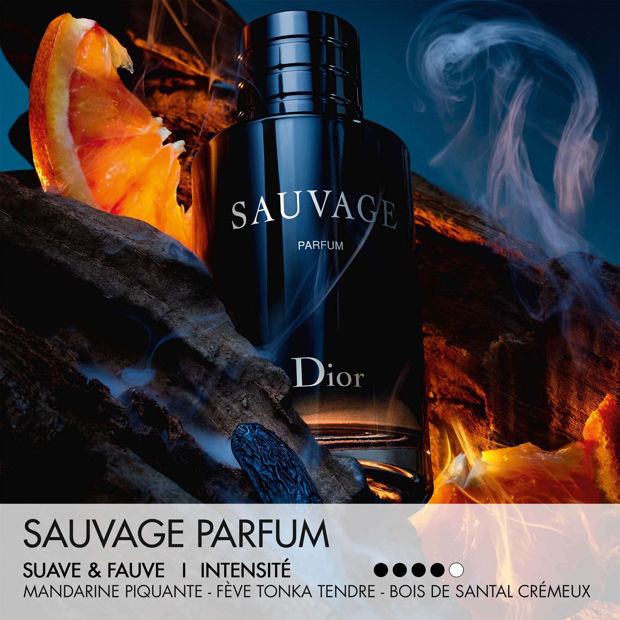 Sauvage 100ml, Parfum - Dior | MyOrigines Produit