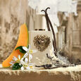 Your Devotion Dolce & Gabbana